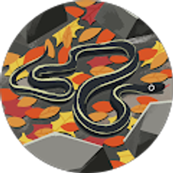 Profile photo of Joshua Freel