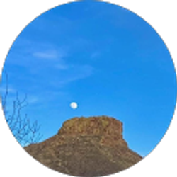 Profile photo of Dale Graham