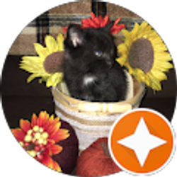 Profile photo of Trish Johnson