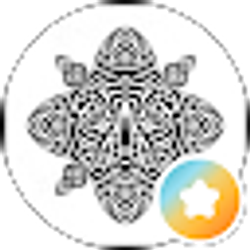 Profile photo of PDV