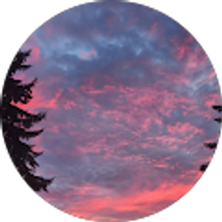 Profile photo of Noah