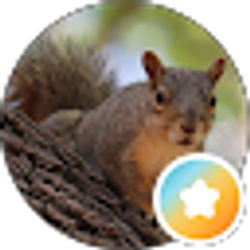 Profile photo of K D