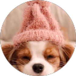 Profile photo of Lakshmi Nakirikanti