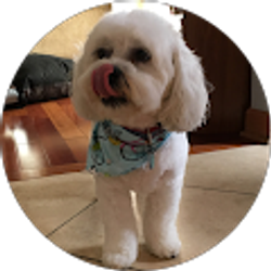 Profile photo of J.F. B