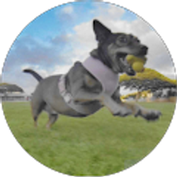 Profile photo of Chanelle