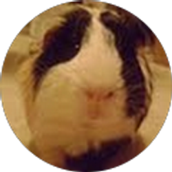 Profile photo of Rebeca Molina