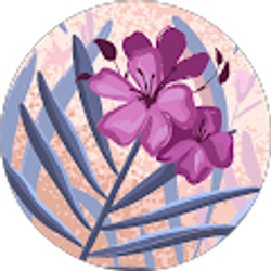 Profile photo of May