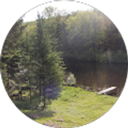 Profile photo of Lori Valenzuela