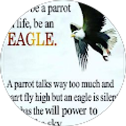 Profile photo of Eaglemind ##iflyalone