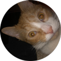 Profile photo of Ashely Baldwin