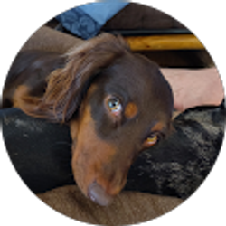 Profile photo of Jennifer Hennigan