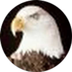 Profile photo of Tim Dempsey