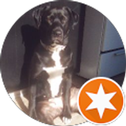 Profile photo of Jenn Provorse