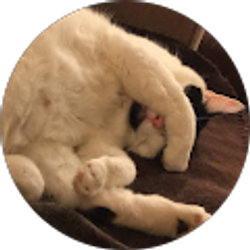 Profile photo of Ann Than