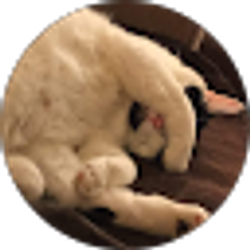 Profile photo of Ann Than