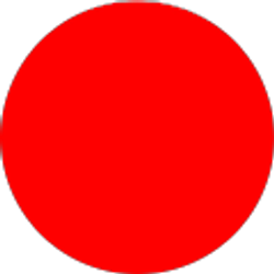 Profile photo of Vincent Mazza