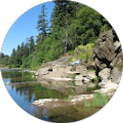 Profile photo of Terry Tillman