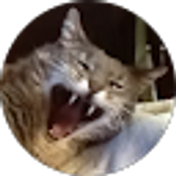 Profile photo of Misty Walker