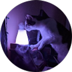 Profile photo of Kiley Parker