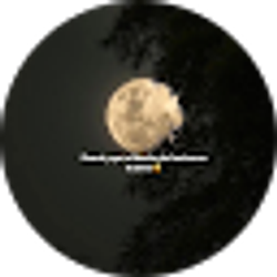Profile photo of L A