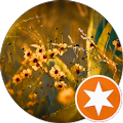 Profile photo of Brandi Edwards