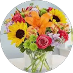 Profile photo of Linda