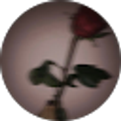 Profile photo of Hannah S