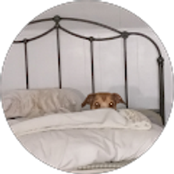 Profile photo of Pamela Milam