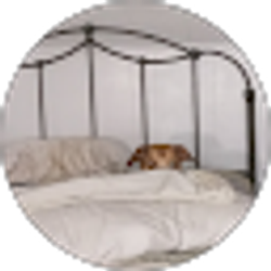 Profile photo of Pamela Milam