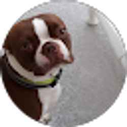 Profile photo of theresa SCHRAK