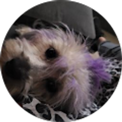 Profile photo of Purple Perez