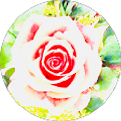 Profile photo of WolfyW Angel