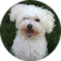 Profile photo of Marieke Moyers