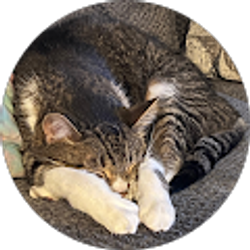 Profile photo of Mike