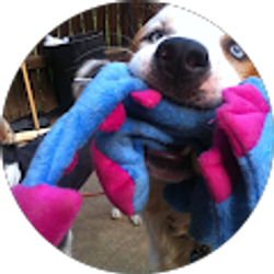 Profile photo of Patricia Rooney