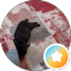 Profile photo of Pookie
