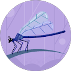 Profile photo of Joli Abshire