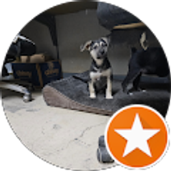 Profile photo of Mary