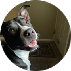 Profile photo of Nick -