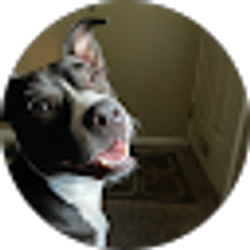 Profile photo of Nick -