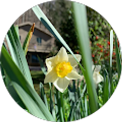 Profile photo of Amanda S