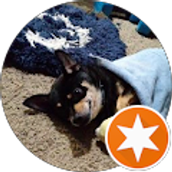 Profile photo of mariep101 Pichette