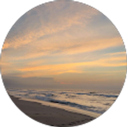 Profile photo of Chase Ponik