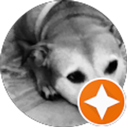 Profile photo of Ian Faas