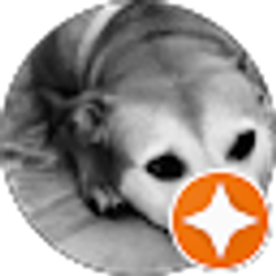 Profile photo of Ian Faas