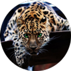 Profile photo of Paul DeCourcey