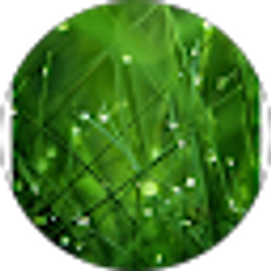 Profile photo of Chu-Yin Chang