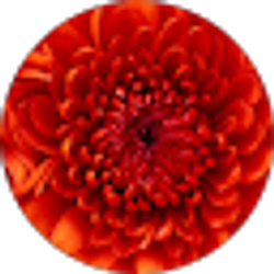Profile photo of Alexis Kynett