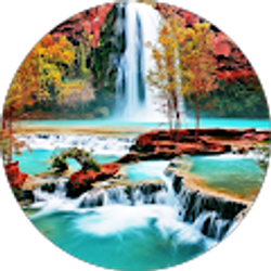 Profile photo of Kendal Kilgore