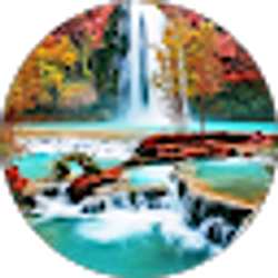 Profile photo of Kendal Kilgore